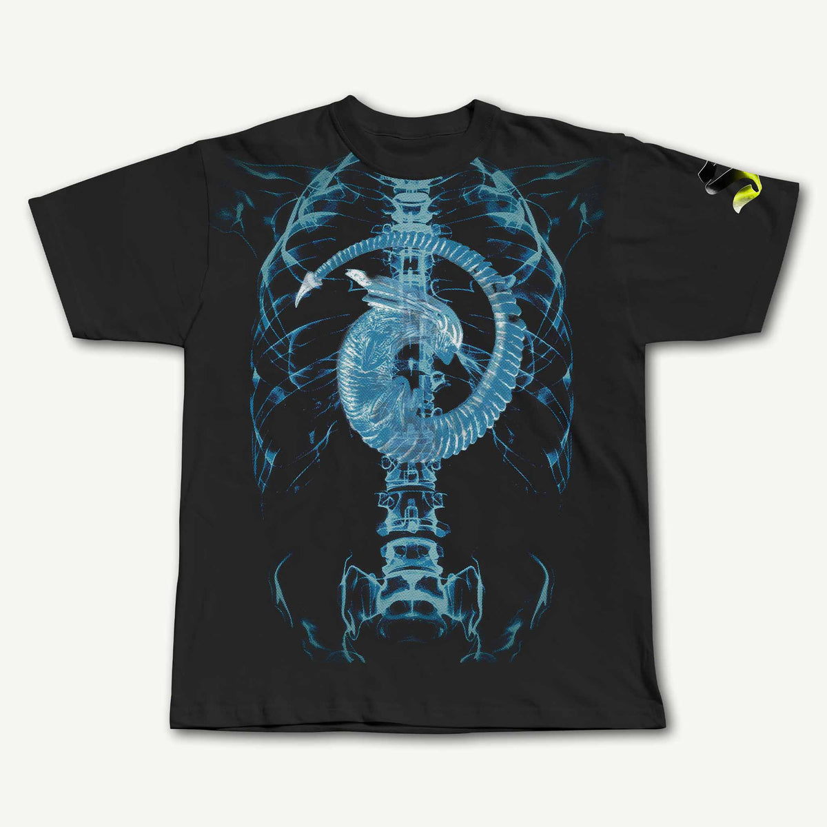 ALIEN XRAY