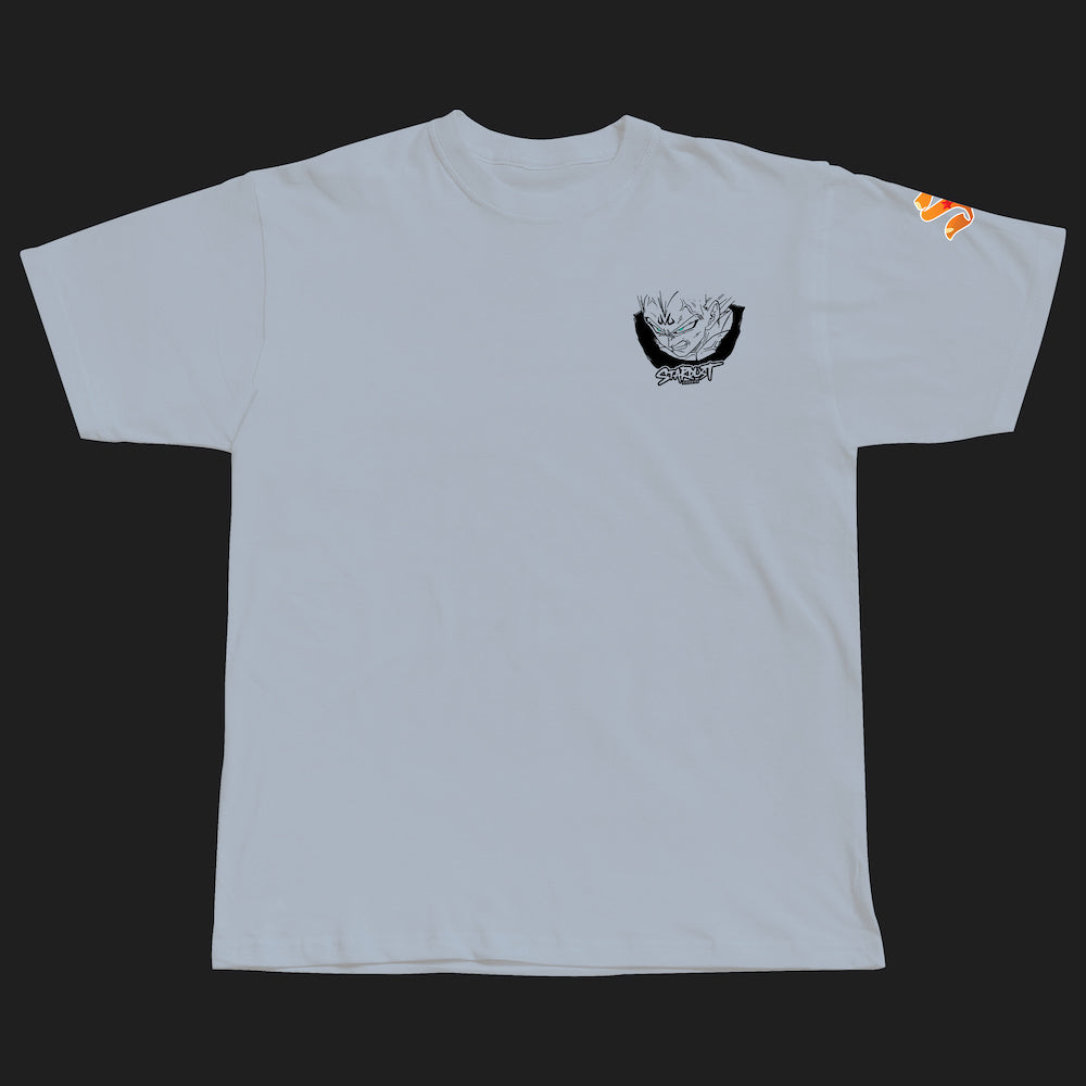 MAJIN FURY