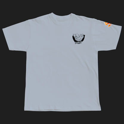 MAJIN FURY